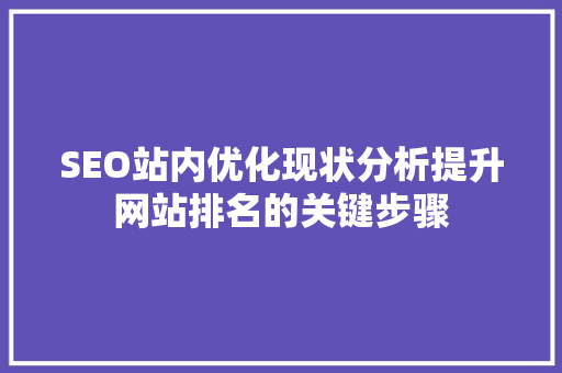 SEO站内优化现状分析提升网站排名的关键步骤