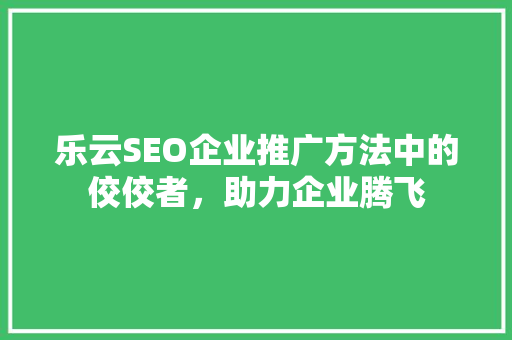 乐云SEO企业推广方法中的佼佼者，助力企业腾飞