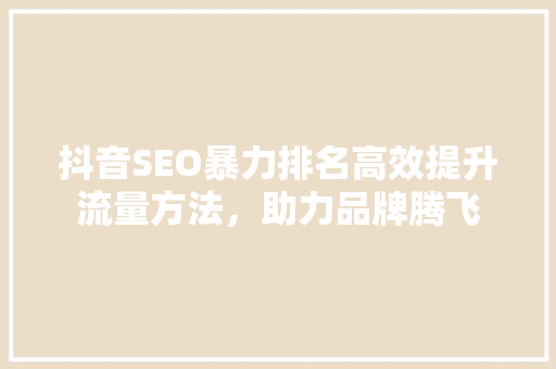 抖音SEO暴力排名高效提升流量方法，助力品牌腾飞