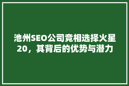 池州SEO公司竞相选择火星20，其背后的优势与潜力