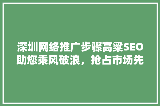 深圳网络推广步骤高粱SEO助您乘风破浪，抢占市场先机