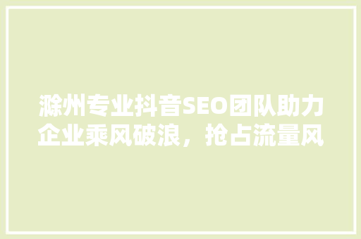 滁州专业抖音SEO团队助力企业乘风破浪，抢占流量风口