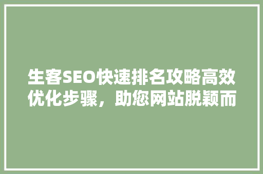 生客SEO快速排名攻略高效优化步骤，助您网站脱颖而出