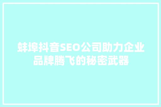 蚌埠抖音SEO公司助力企业品牌腾飞的秘密武器