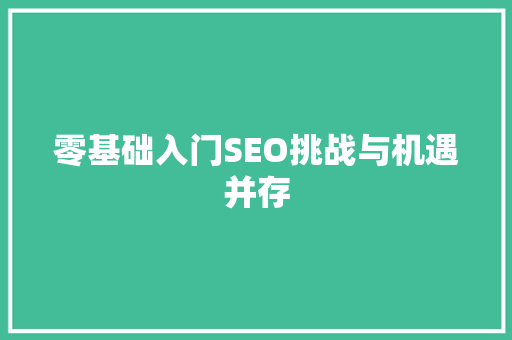 零基础入门SEO挑战与机遇并存