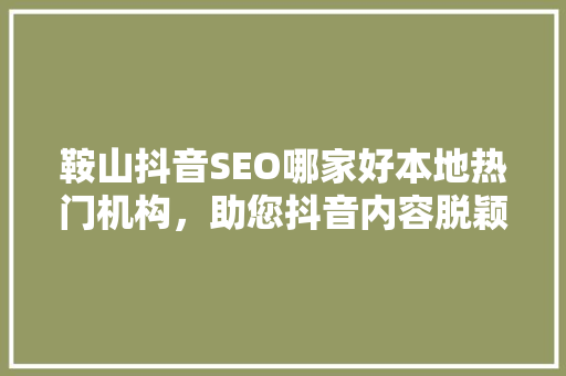 鞍山抖音SEO哪家好本地热门机构，助您抖音内容脱颖而出