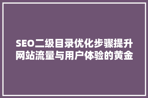 SEO二级目录优化步骤提升网站流量与用户体验的黄金法则
