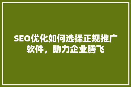 SEO优化如何选择正规推广软件，助力企业腾飞