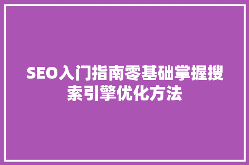 SEO入门指南零基础掌握搜索引擎优化方法