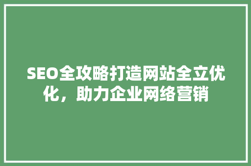 SEO全攻略打造网站全立优化，助力企业网络营销
