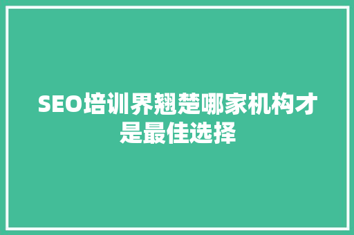 SEO培训界翘楚哪家机构才是最佳选择