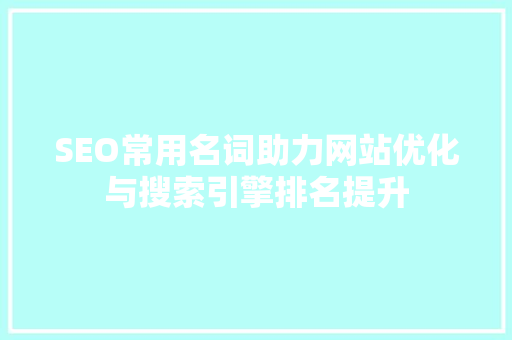 SEO常用名词助力网站优化与搜索引擎排名提升