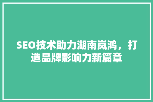 SEO技术助力湖南岚鸿，打造品牌影响力新篇章