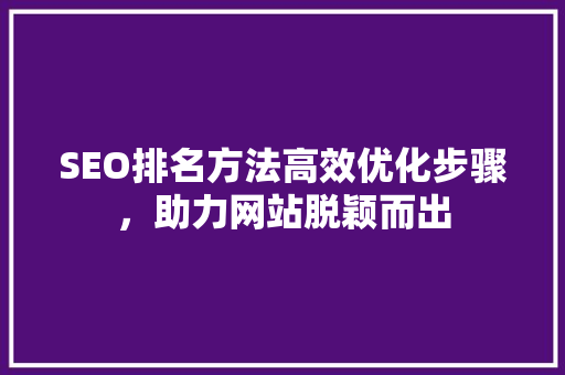 SEO排名方法高效优化步骤，助力网站脱颖而出