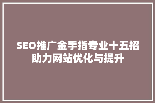 SEO推广金手指专业十五招助力网站优化与提升