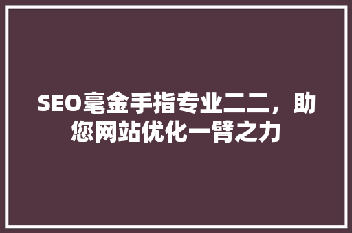 SEO毫金手指专业二二，助您网站优化一臂之力