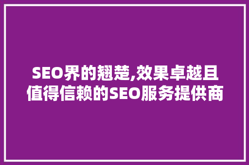SEO界的翘楚,效果卓越且值得信赖的SEO服务提供商