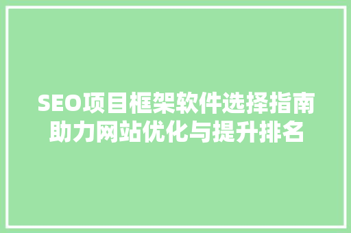SEO项目框架软件选择指南助力网站优化与提升排名