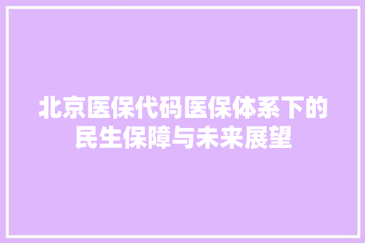 北京医保代码医保体系下的民生保障与未来展望