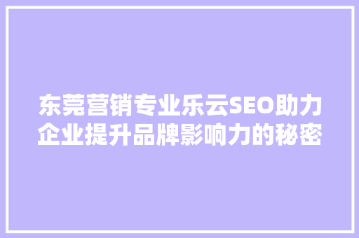 东莞营销专业乐云SEO助力企业提升品牌影响力的秘密武器