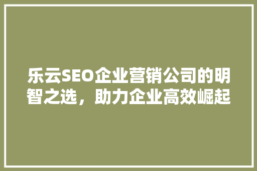 乐云SEO企业营销公司的明智之选，助力企业高效崛起