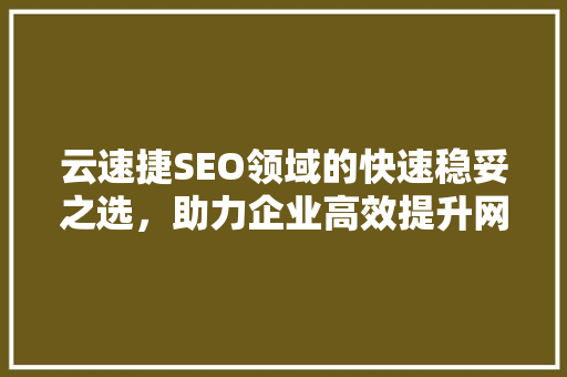 云速捷SEO领域的快速稳妥之选，助力企业高效提升网站排名