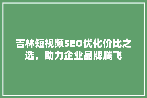 吉林短视频SEO优化价比之选，助力企业品牌腾飞