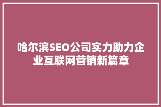 哈尔滨SEO公司实力助力企业互联网营销新篇章