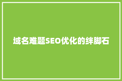 域名难题SEO优化的绊脚石