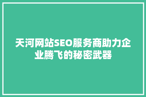 天河网站SEO服务商助力企业腾飞的秘密武器