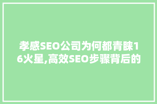 孝感SEO公司为何都青睐16火星,高效SEO步骤背后的秘密