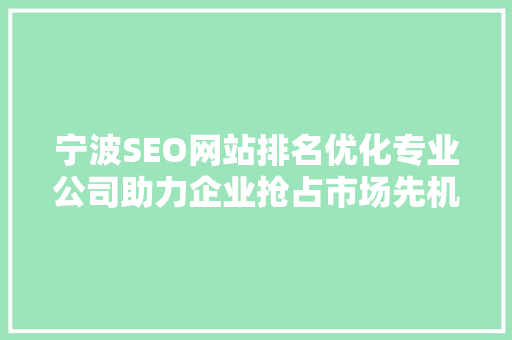 宁波SEO网站排名优化专业公司助力企业抢占市场先机