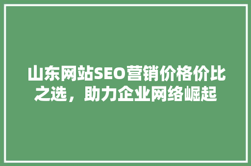 山东网站SEO营销价格价比之选，助力企业网络崛起