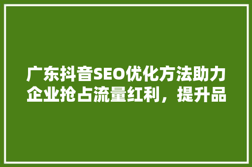 广东抖音SEO优化方法助力企业抢占流量红利，提升品牌影响力