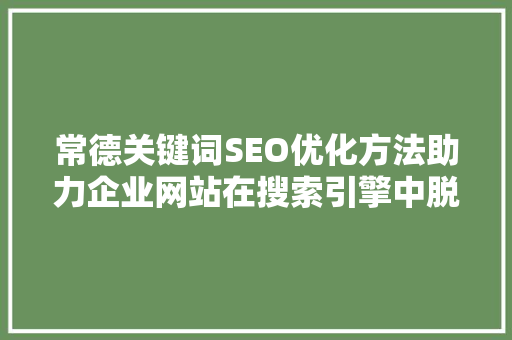常德关键词SEO优化方法助力企业网站在搜索引擎中脱颖而出