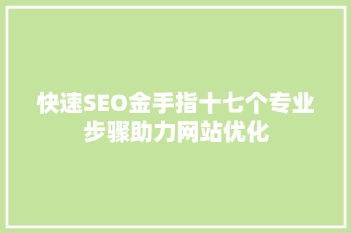 快速SEO金手指十七个专业步骤助力网站优化