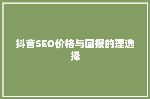 抖音SEO价格与回报的理选择