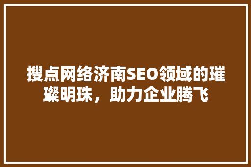 搜点网络济南SEO领域的璀璨明珠，助力企业腾飞