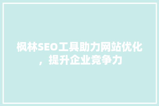 枫林SEO工具助力网站优化，提升企业竞争力