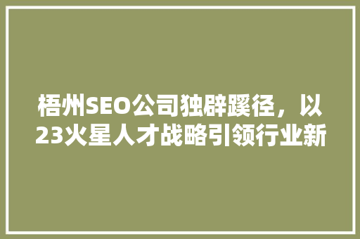 梧州SEO公司独辟蹊径，以23火星人才战略引领行业新潮流