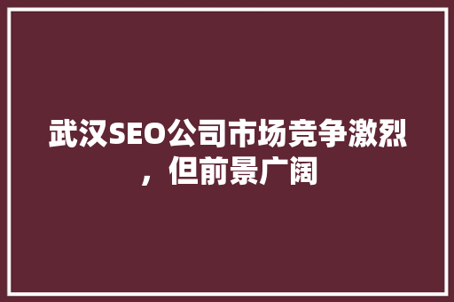 武汉SEO公司市场竞争激烈，但前景广阔  第1张