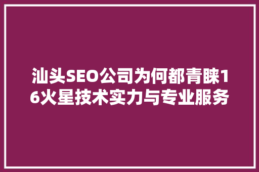 汕头SEO公司为何都青睐16火星技术实力与专业服务的完美结合