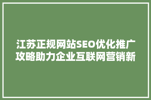 江苏正规网站SEO优化推广攻略助力企业互联网营销新篇章
