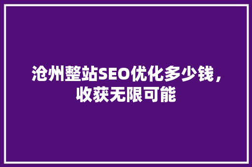 沧州整站SEO优化多少钱，收获无限可能
