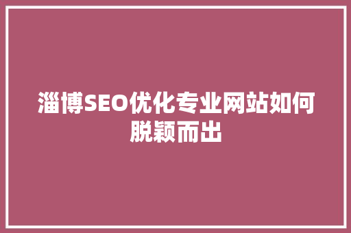 淄博SEO优化专业网站如何脱颖而出