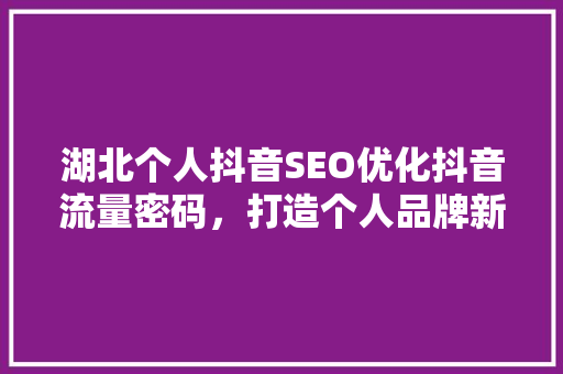 湖北个人抖音SEO优化抖音流量密码，打造个人品牌新高峰