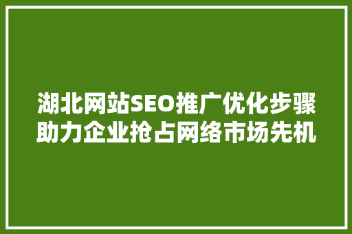 湖北网站SEO推广优化步骤助力企业抢占网络市场先机