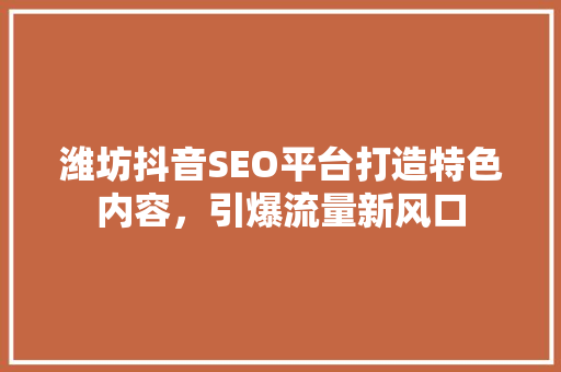 潍坊抖音SEO平台打造特色内容，引爆流量新风口