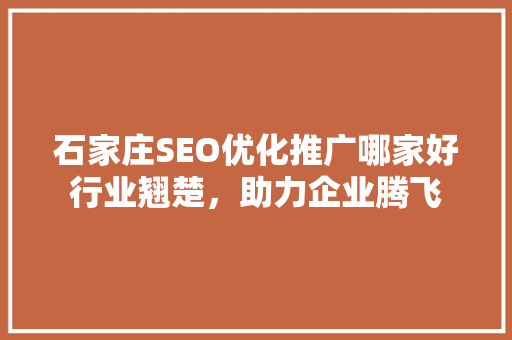 石家庄SEO优化推广哪家好行业翘楚，助力企业腾飞