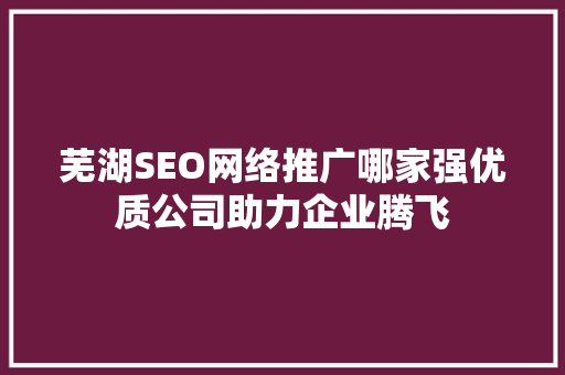 芜湖SEO网络推广哪家强优质公司助力企业腾飞